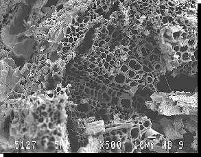 Acid Mine Drainage